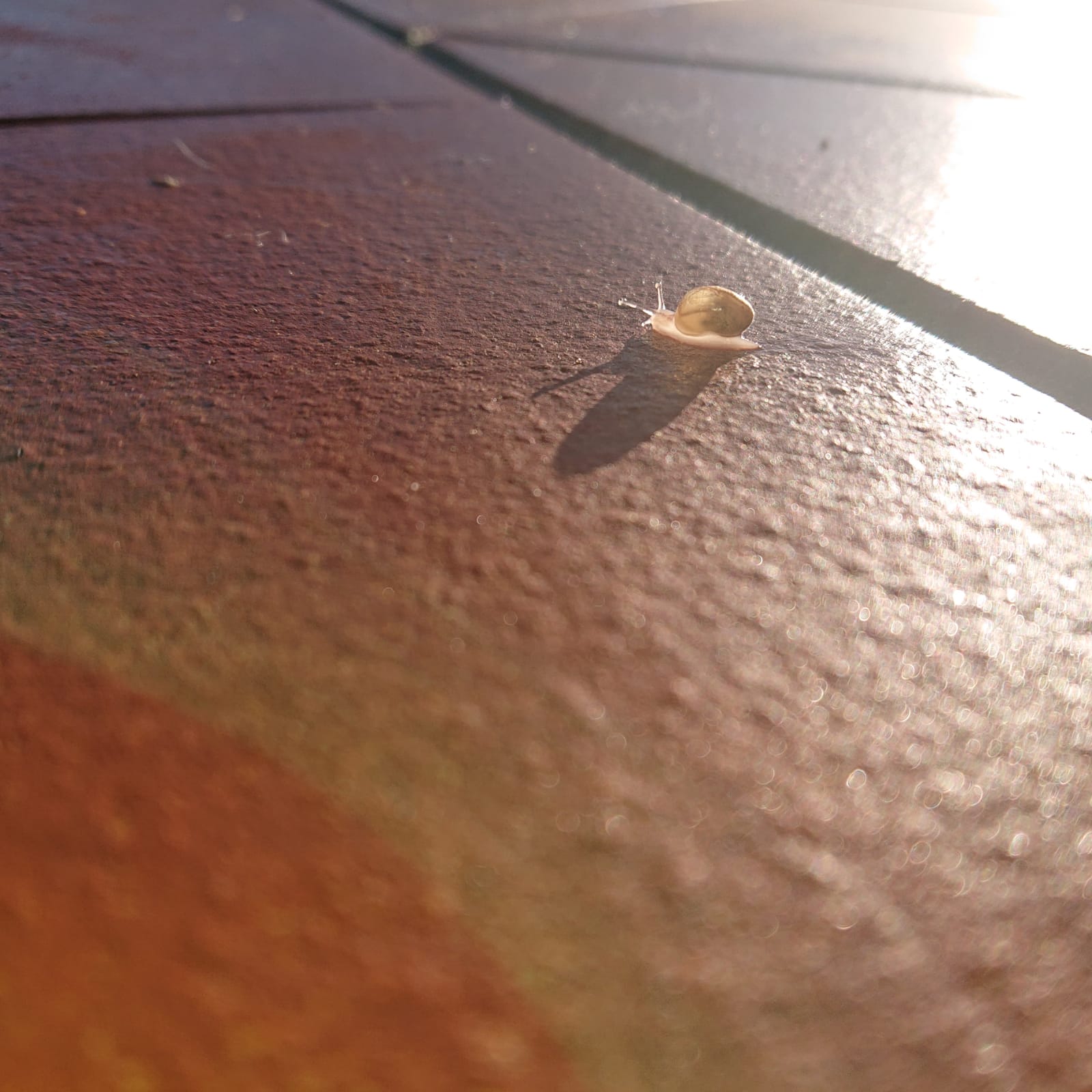 Einzelberatung